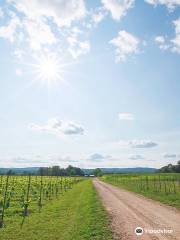 Black Birch Vineyard