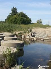 Haarlemmermeerse Bos