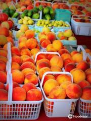 Madison City Farmers Market