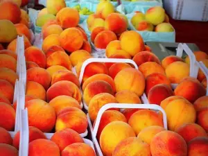 Madison City Farmers Market