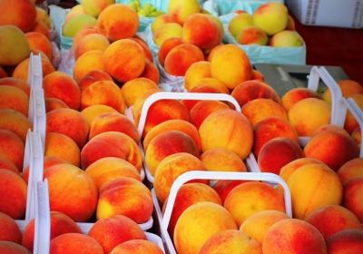 Madison City Farmers Market