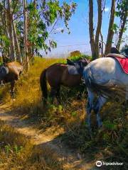 Herdade da Estrela