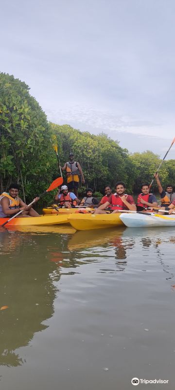 MANGROVEBAY CAMP
