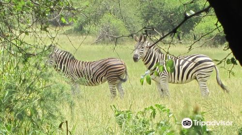 Game Reserve Rd