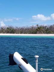 Delfinario en Cayo Santa Maria