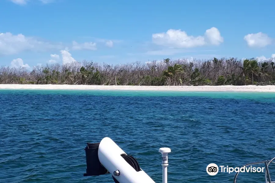 Delfinario en Cayo Santa Maria