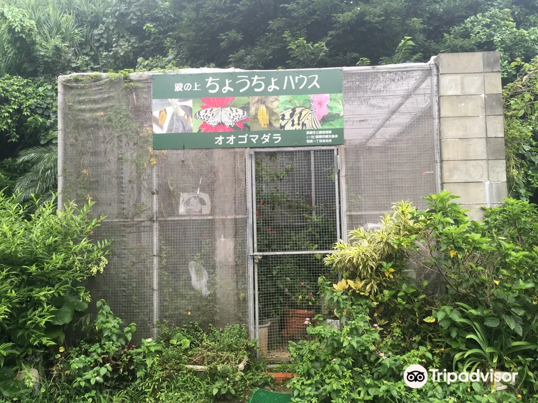 2_Nami no Ue Chocho House