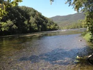 Shenandoah River Outfitters