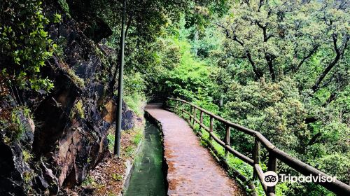 Sola Irrigation Canal Trail