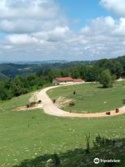 Parco Safari delle Langhe Murazzano CN