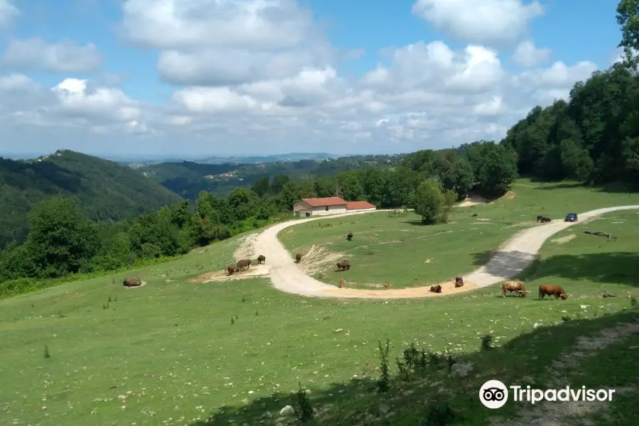 Parco Safari delle Langhe Murazzano CN