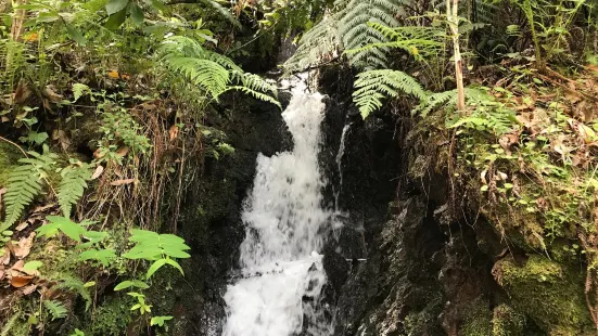 Levada do Moinho