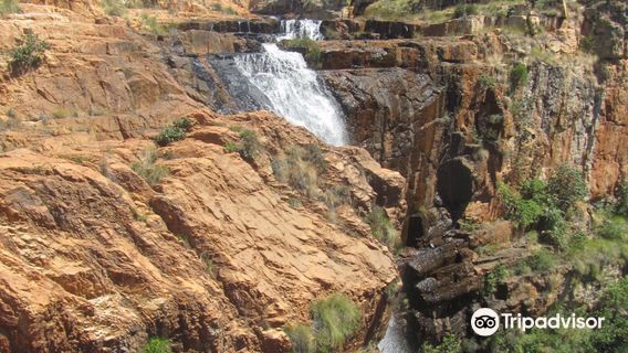 Kgaswane Nature Reserve Rustenburg