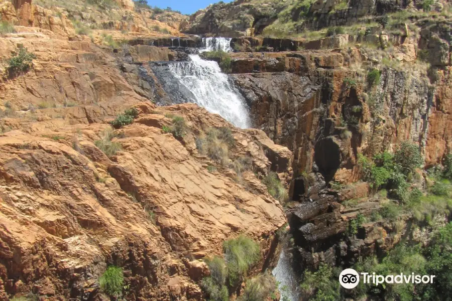 Kgaswane Mountain Reserve