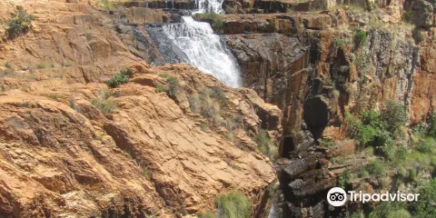 Kgaswane Nature Reserve