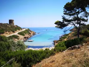 Asinara National Park