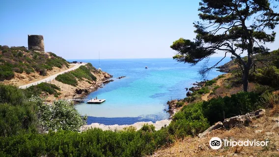Parco Nazionale dell'Asinara