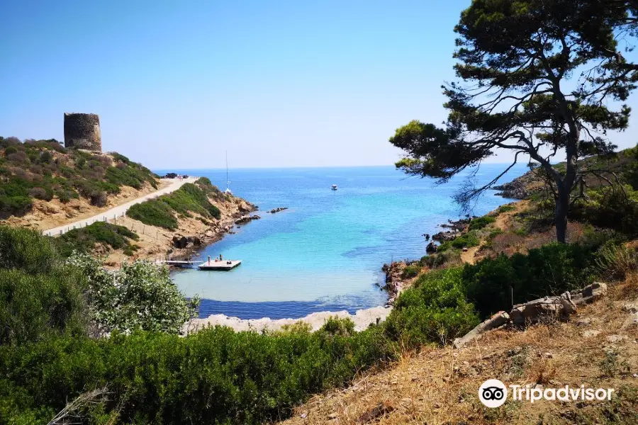 Asinara National Park