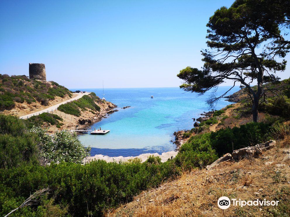 Asinara National Park