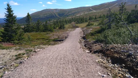 Trysil Bike Arena