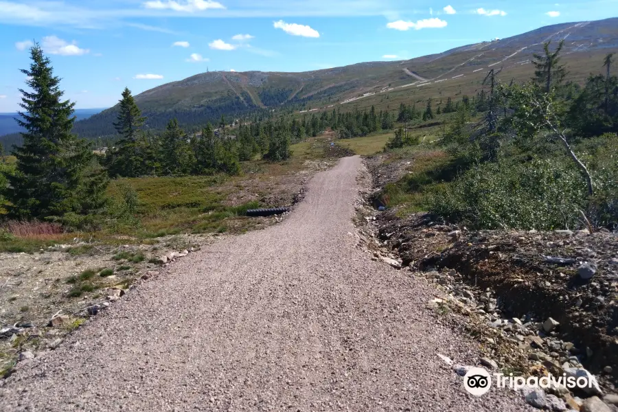 Trysil Bike Arena