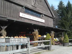 Bolton Orchards