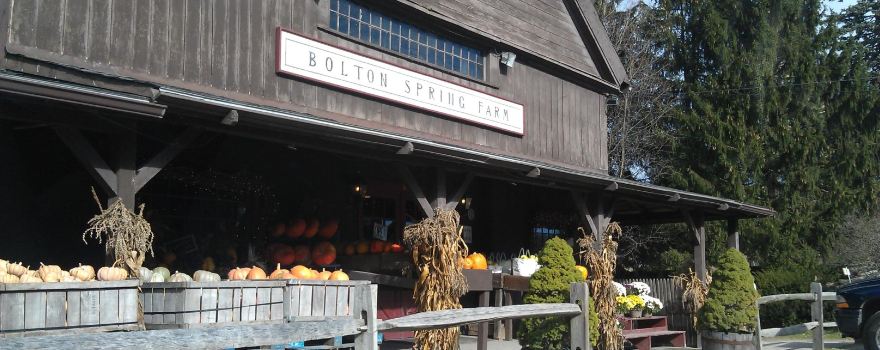 Bolton Orchards