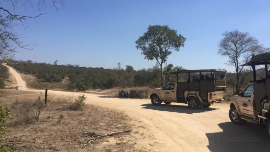 Africa Spear Kruger Park Safaris