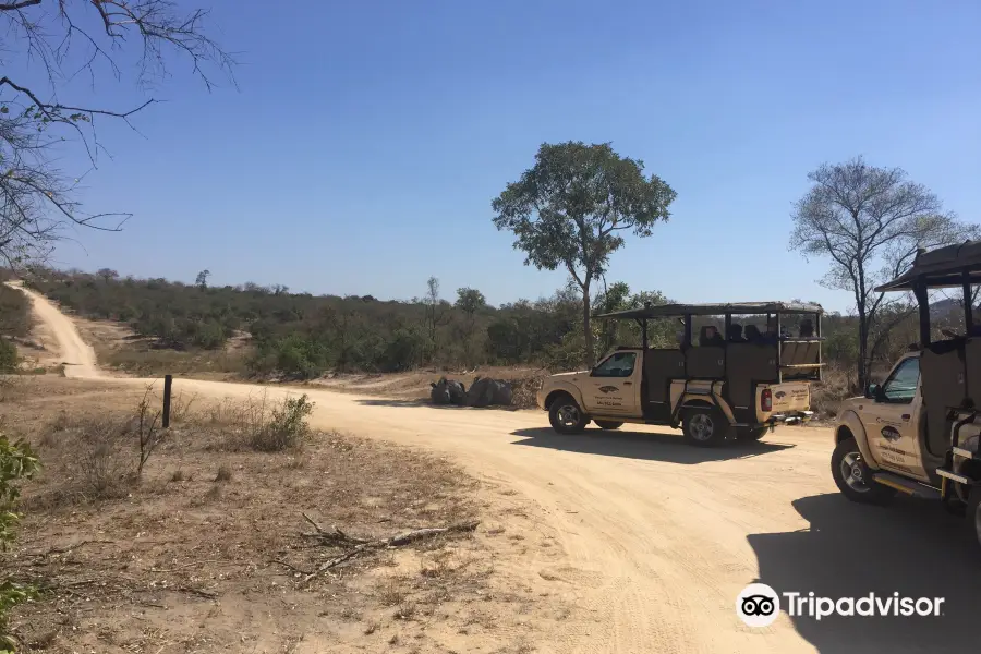 Africa Spear Kruger Park Safaris