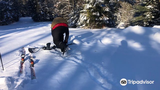 Ski Mont Vallée Bleue