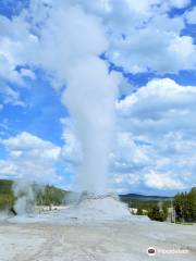 Castle Geyser