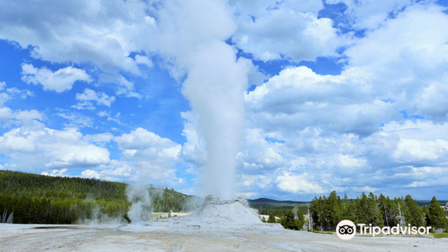 Castle Geyser