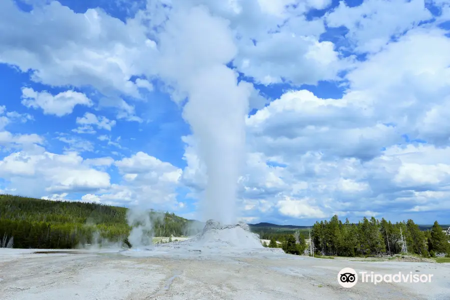 Castle Geyser