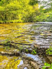 St. Francois State Park