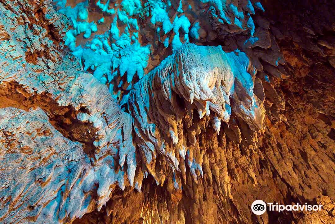 沖縄 CAVE OKINAWA【鍾乳洞】入場Eチケット 予約