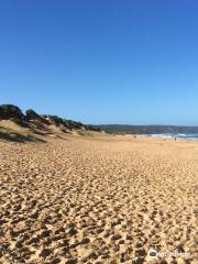 Gunnamatta Ocean Beach