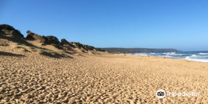 Gunnamatta Ocean Beach