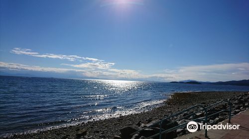 Davis Bay Beach