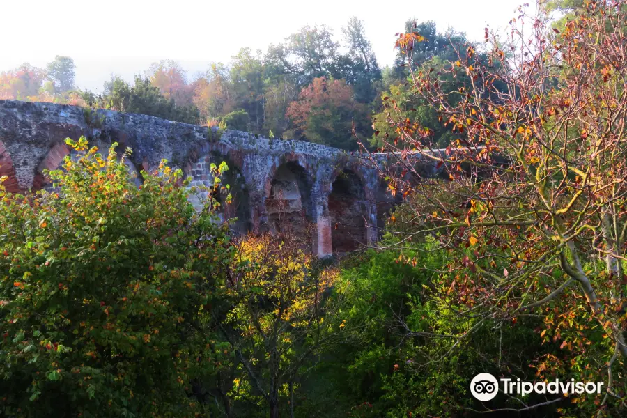 Ponte Ronaco