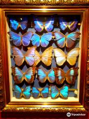 Natur-Museum Luzern