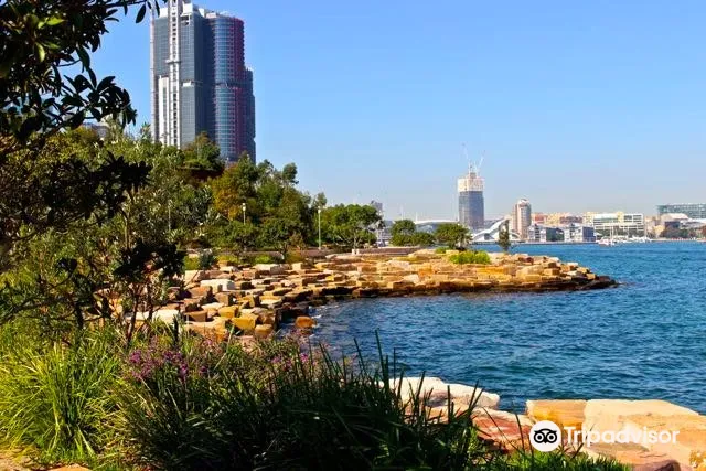 1_Barangaroo Foreshore Walk