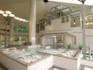 Nakatsugawa Onsen Yubunesawa
