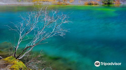 Grassi Lakes