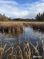 South March Highlands Conservation Forest