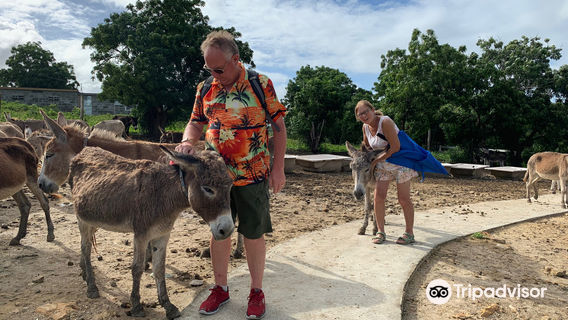 Antigua & Barbuda Humane Society
