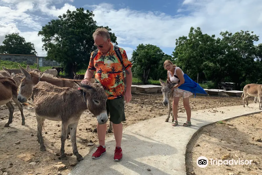 Antigua & Barbuda Humane Society