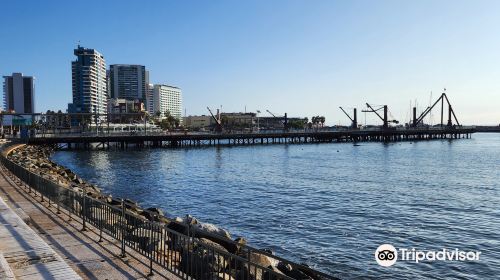 Muelle Salitrero Compania Melbourne Clark