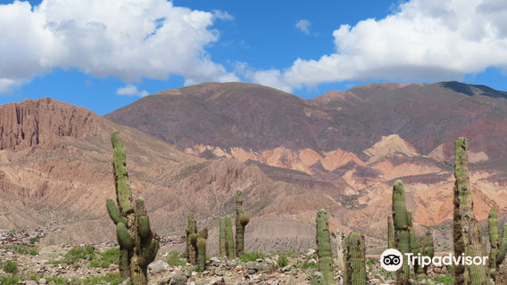 Altura Botanical Garden