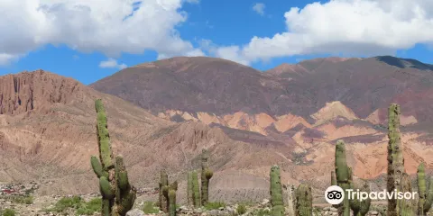 Jardin Botanico de Altura