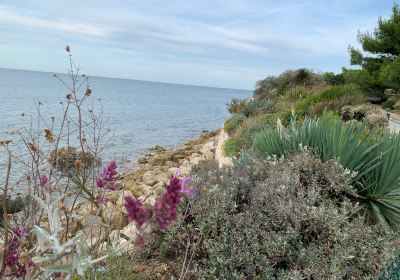 Port de Plaisance des Minimes